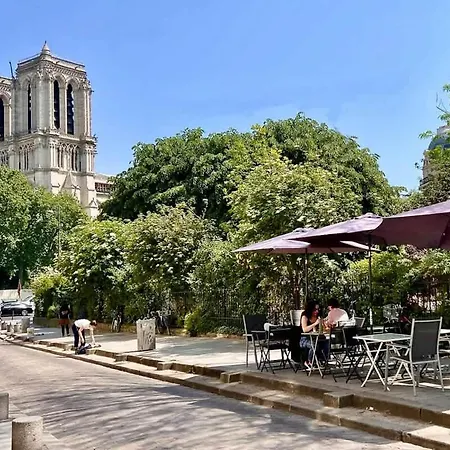 Apartment Fantastic View On Notre Dame Abelard With Ac Paris