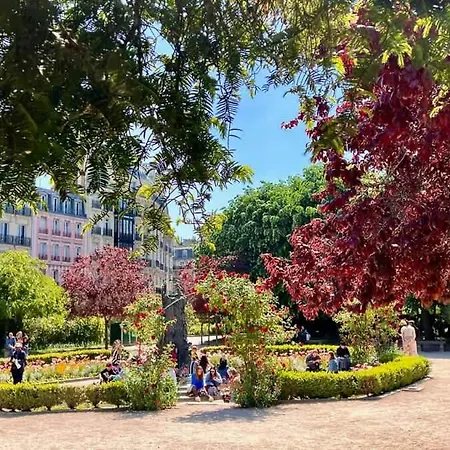 Fantastic View On Notre Dame Abelard דירה פריז